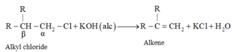 NCERT Solutions Class 12 Chemistry Chapter 6 - Haloalkanes & Haloarenes