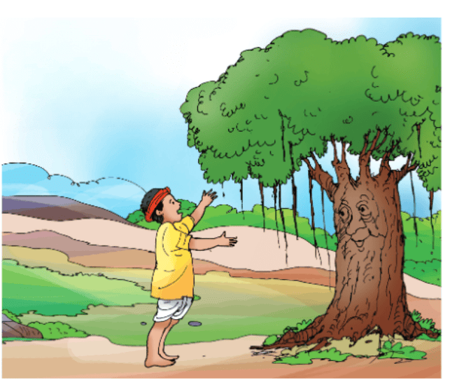 Summary: Madhu`s Wish | English for Class 3 (Santoor)