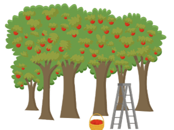 Word Problem: Measurement - 1 | Mathematics for Class 4