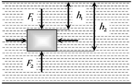 Mechanical Properties of Fluids: Part 2 | Physics Class 11 - NEET