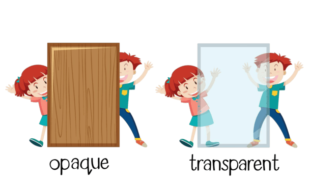 Worksheet Solutions: The World of Things | Worksheets with solutions for Class 3