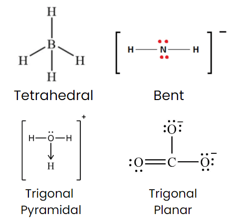 NCERT Exemplar: Chemical Bonding & Molecular Structure | Chemistry Class 11 - NEET