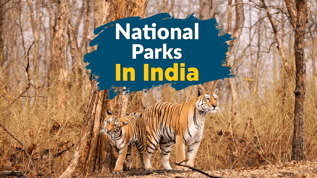 National Parks & Wildlife Sanctuaries in INDIA | General Awareness - Bank Exams