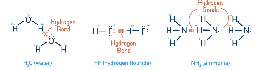 NCERT Exemplar: Chemical Bonding & Molecular Structure | Chemistry Class 11 - NEET