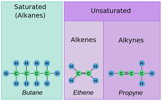 Class 10 Science Chapter 4 Practice Question Answers - Carbon and its compounds