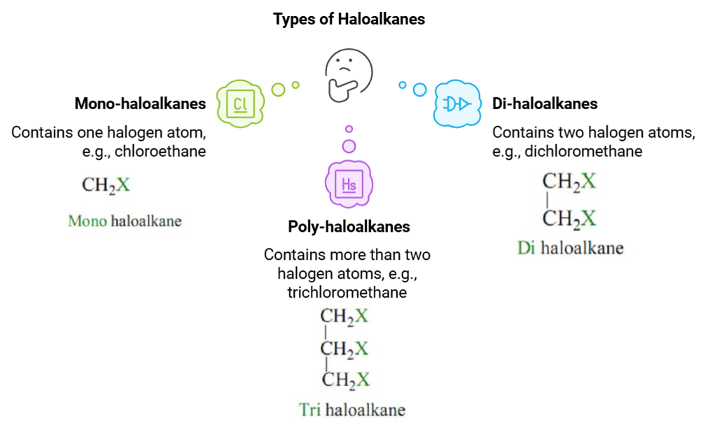 Classification & Nomenclature of Haloalkanes & Haloarenes | Chemistry Class 12 - NEET