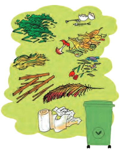 Taking Charge of Waste Chapter Notes | EVS Class 3: The World around us (Our Wondrous World)