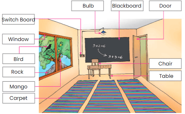 The World of Things Chapter Notes | EVS Class 3: The World around us (Our Wondrous World)
