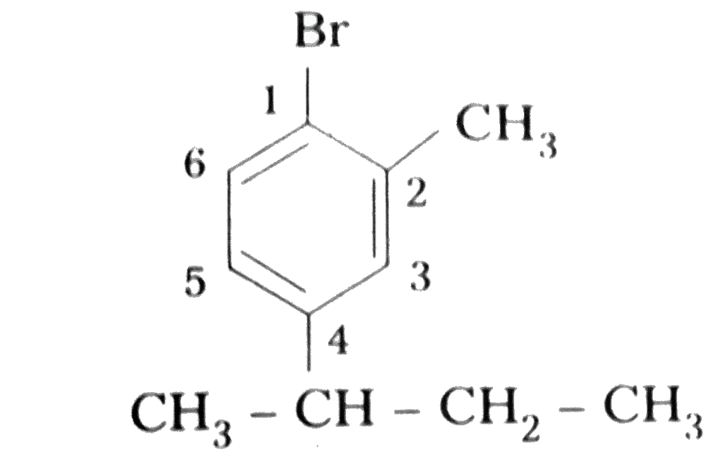 NCERT Solutions Class 12 Chemistry Chapter 6 - Haloalkanes & Haloarenes