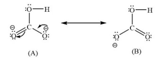 NCERT Solutions Class 11 Chemistry - The p-Block Elements