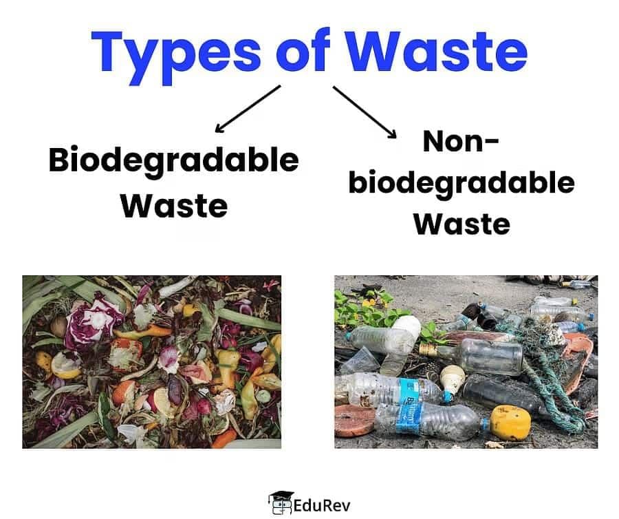 Our Environment (Part 2) Class 5 Notes Science