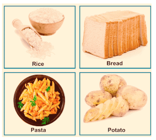 Food Chapter Notes | Science Olympiad for Class 3