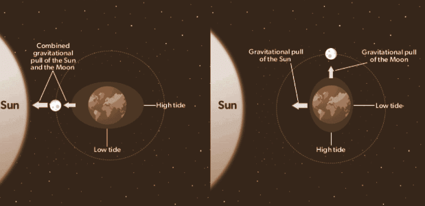 NCERT Solutions Class 11 Physics Chapter 7 - Gravitation