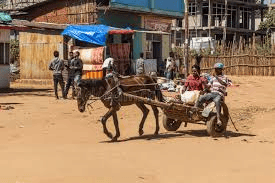 A horse cart in a village Tefki, in Ethiopia
