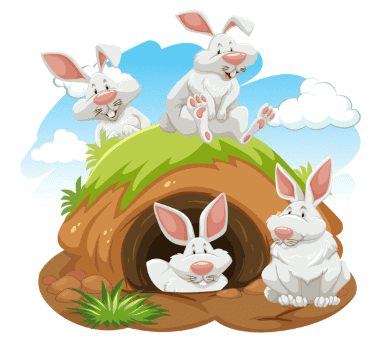 Worksheet Solutions: Poonam’s Day out - 1 | EVS for Class 3
