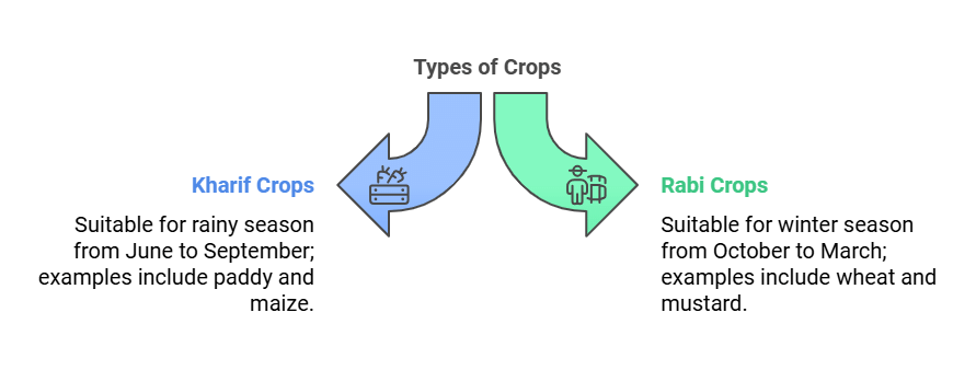 Crop Production & Management Summary Class 8 NCERT Summary