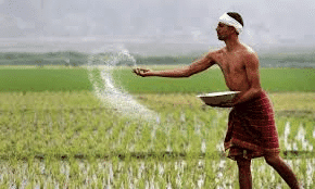 Adding manures & Fertilizers