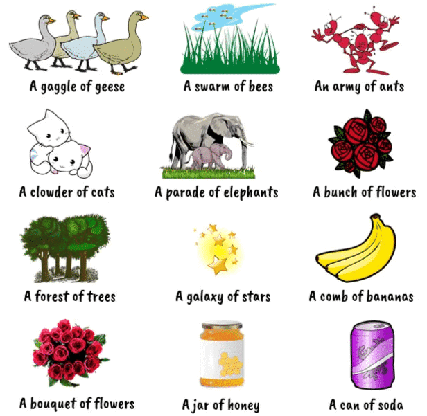 Notes: Language and Literature | GK Olympiad for Class 3