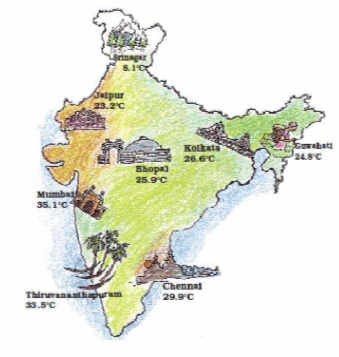 NCERT Solutions: Tenths and Hundredths