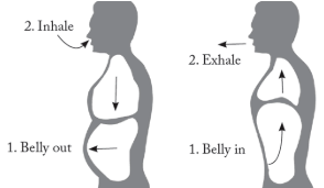 Worksheet Solutions: Yogic Practices | Physical Education and Well Being (Khel Yoga) for Class 3