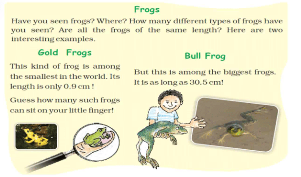 NCERT Solutions: Tenths and Hundredths