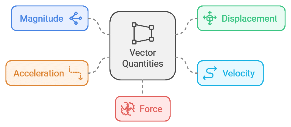 Vector & Scalar Quantities | Physics Class 11 - NEET