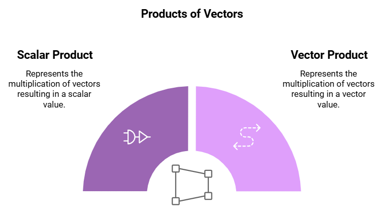 Vectors and their Addition & Subtraction | Physics Class 11 - NEET
