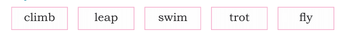 It is Fun NCERT Solutions | English for Class 2 (Mridang)