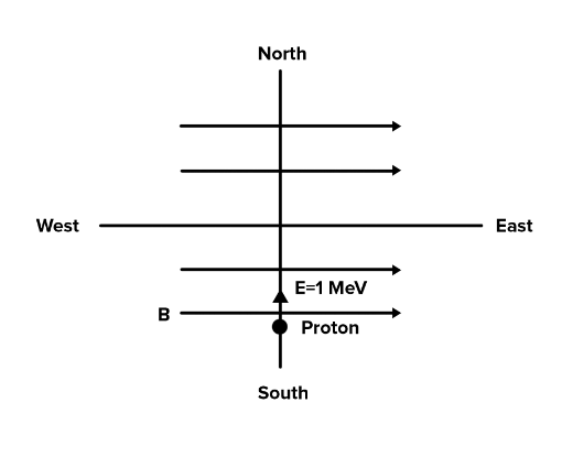 JEE Main Previous Year Questions (2016- 2025): Moving Charges & Magnetism- 1