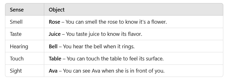 Seeing without Seeing - 1 Class 2 Worksheet English