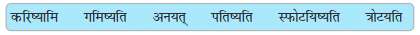 अभ्यास - समवायो हि दुर्जयः | NCERT Solution | संस्कृत कक्षा 7 (Sanskrit Class 7)