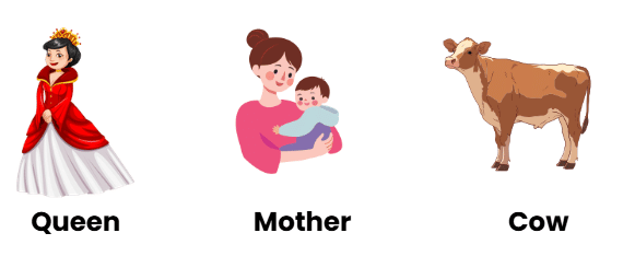 Gender | English Olympiad for Class 2
