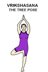 Worksheet Solutions: Yogic Practices | Physical Education and Well Being (Khel Yoga) for Class 3