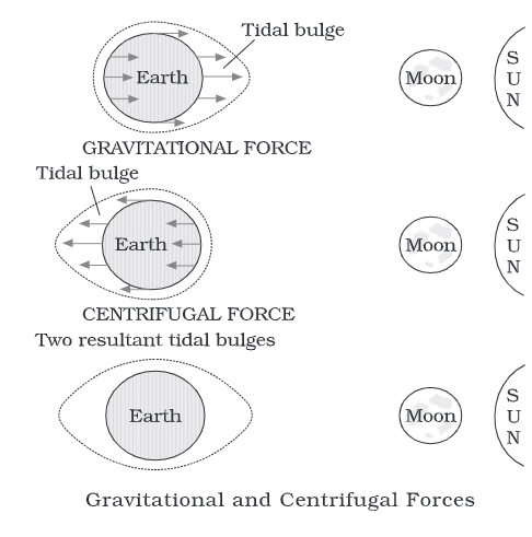 Movements of Ocean Water Class 11 Geography