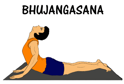 Worksheet Solutions: Yogic Practices | Physical Education and Well Being (Khel Yoga) for Class 3