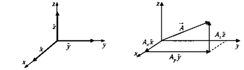 Vectors and Newton`s law of Motion | Basic Physics for IIT JAM