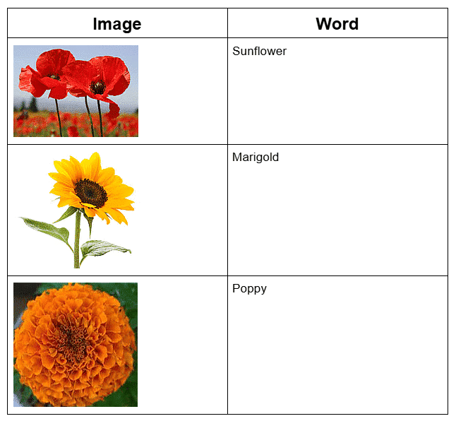 The Magic Garden - 2 Class 3 Worksheet English Unit 1
