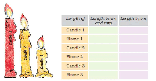 NCERT Solutions: Tenths and Hundredths