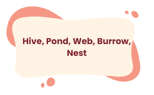 Worksheet Solutions: Poonam’s Day out - 1 | EVS for Class 3