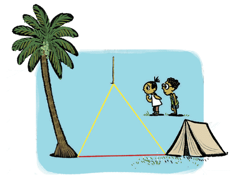 A Tale of Three Intersecting Lines Class 7 Notes Maths Chapter 7 Free PDF