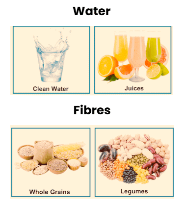 Food Chapter Notes | Science Olympiad for Class 3