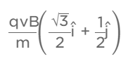 JEE Main Previous Year Questions (2016- 2025): Moving Charges & Magnetism- 1