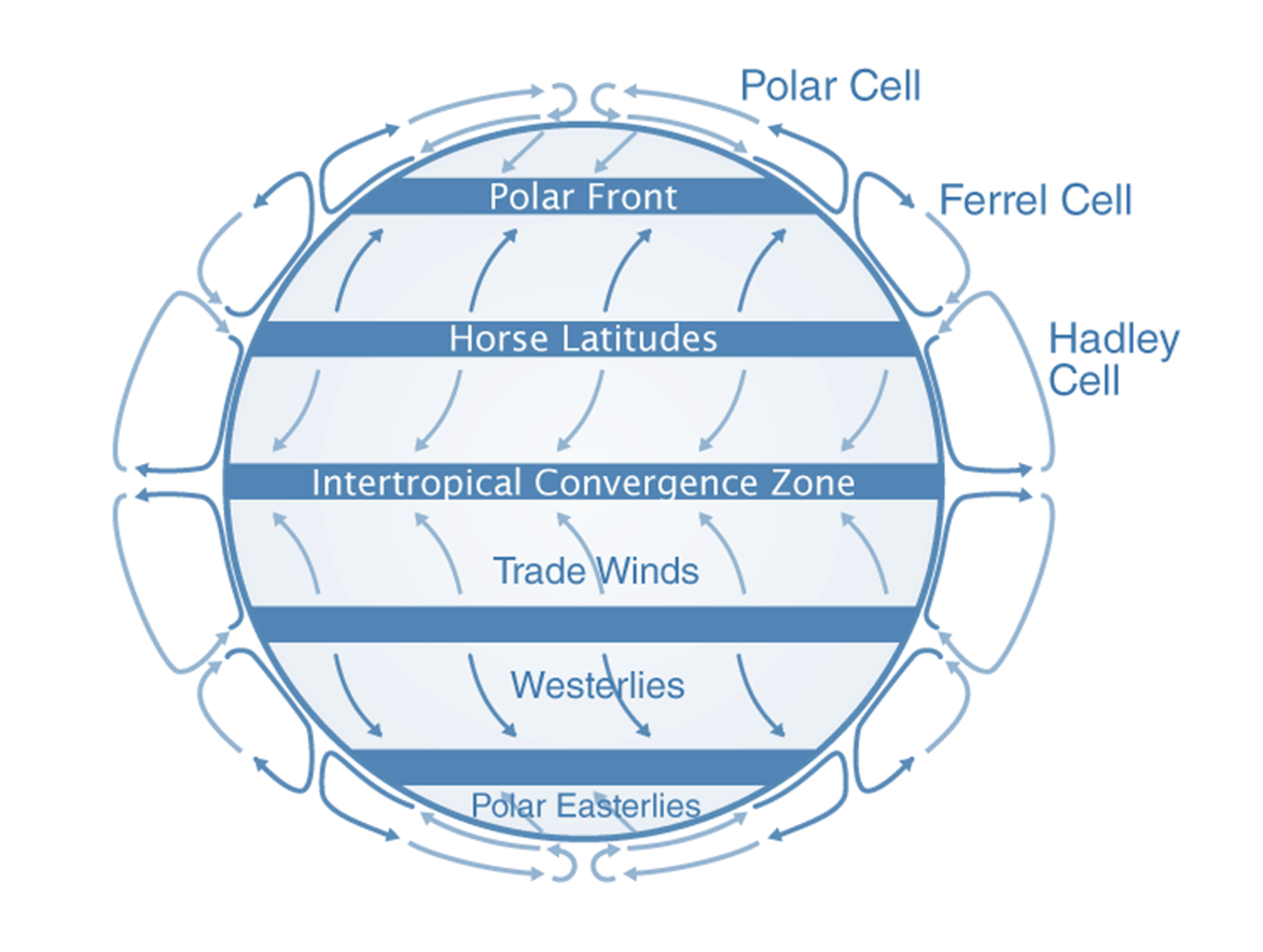 Trade Winds