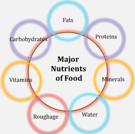 Class 6 Science Chapter 1 Question Answers - Components of Food
