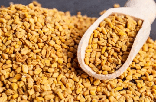 Short and Long Question Answers: Spices that Heal Us | Short & Long Answer Questions for Class 6