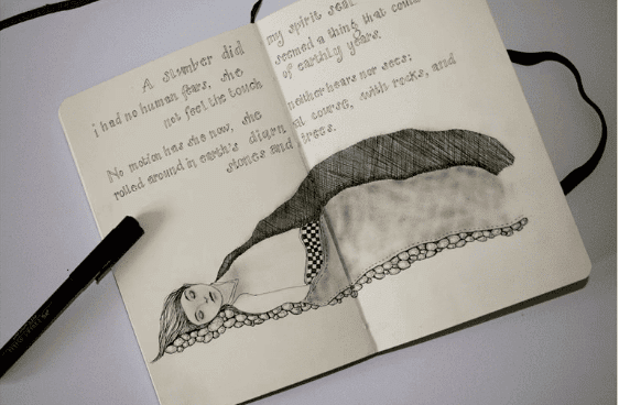 NCERT Solutions for Class 9 English Beehive - Poem - A Slumber Did My Spirit Seal
