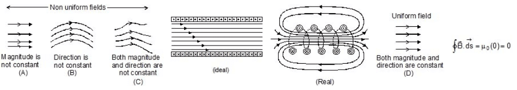Magnetic Lines & Their Characteristics | Physics Class 12 - NEET