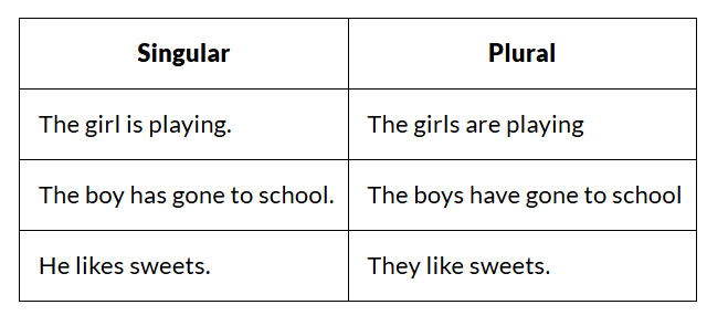 Detailed Notes: Subject-Verb Concord | English Grammar Advanced - Class 10