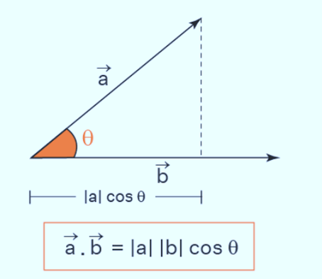 Vector & Scalar Quantities | Physics Class 11 - NEET