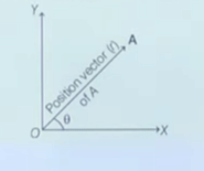 Vector & Scalar Quantities | Physics Class 11 - NEET